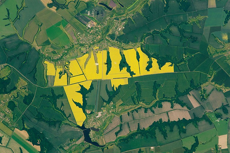 Russia Continues Its Rise As Agricultural Export Powerhouse