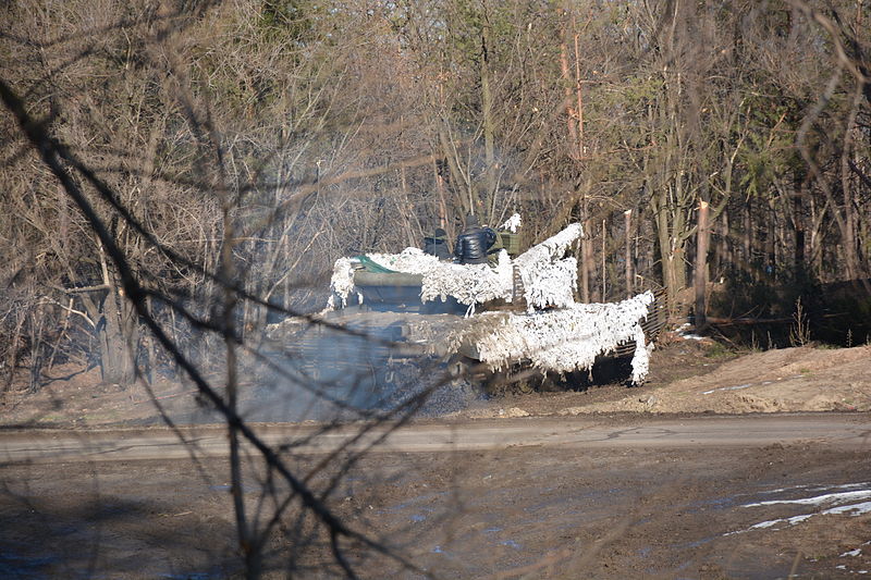 Donbass: The Never-Ending War