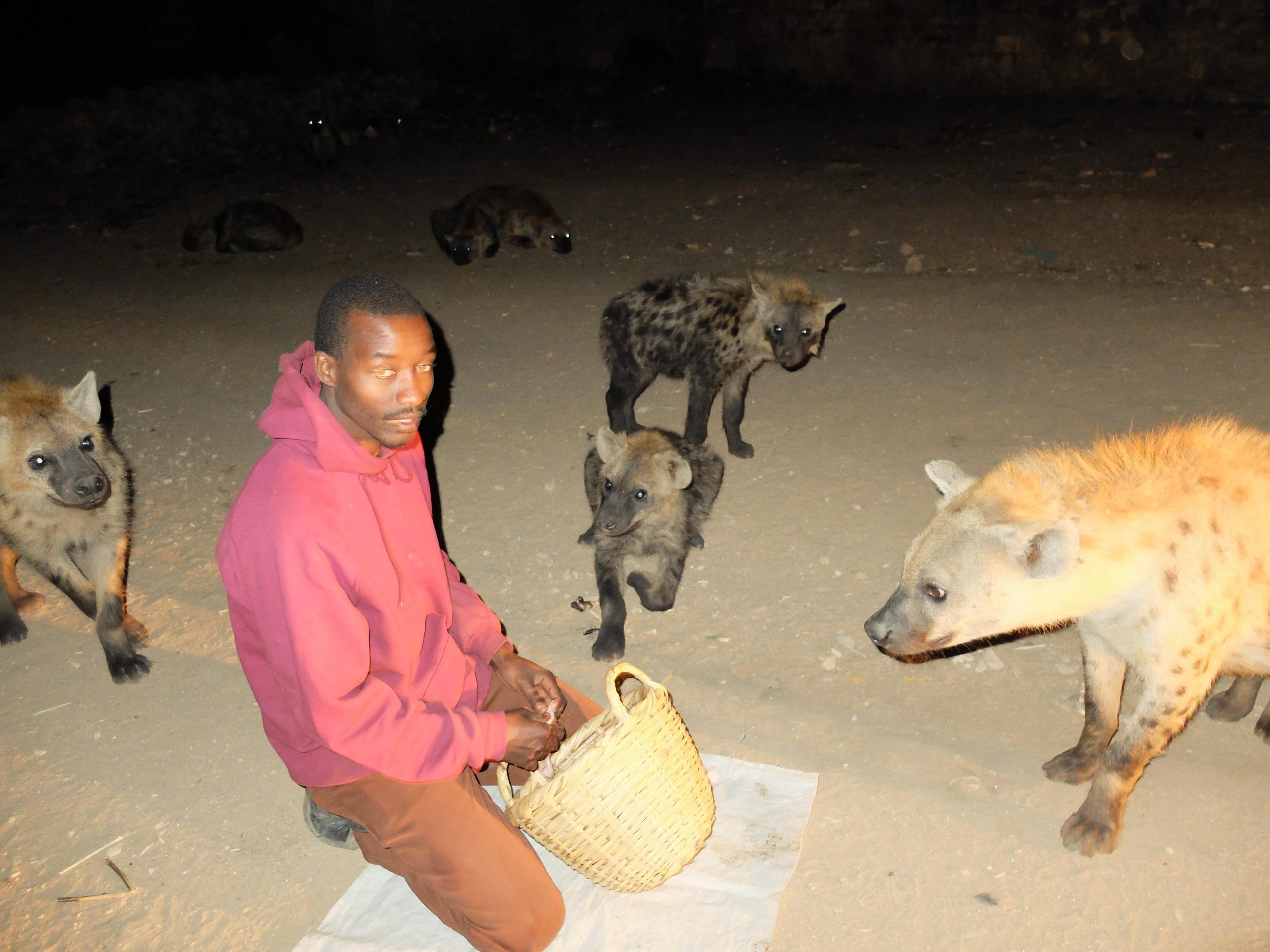 Hyenas, Coffee, And Qat - The City Of Harrar In Ethiopia Offers Much To Delight