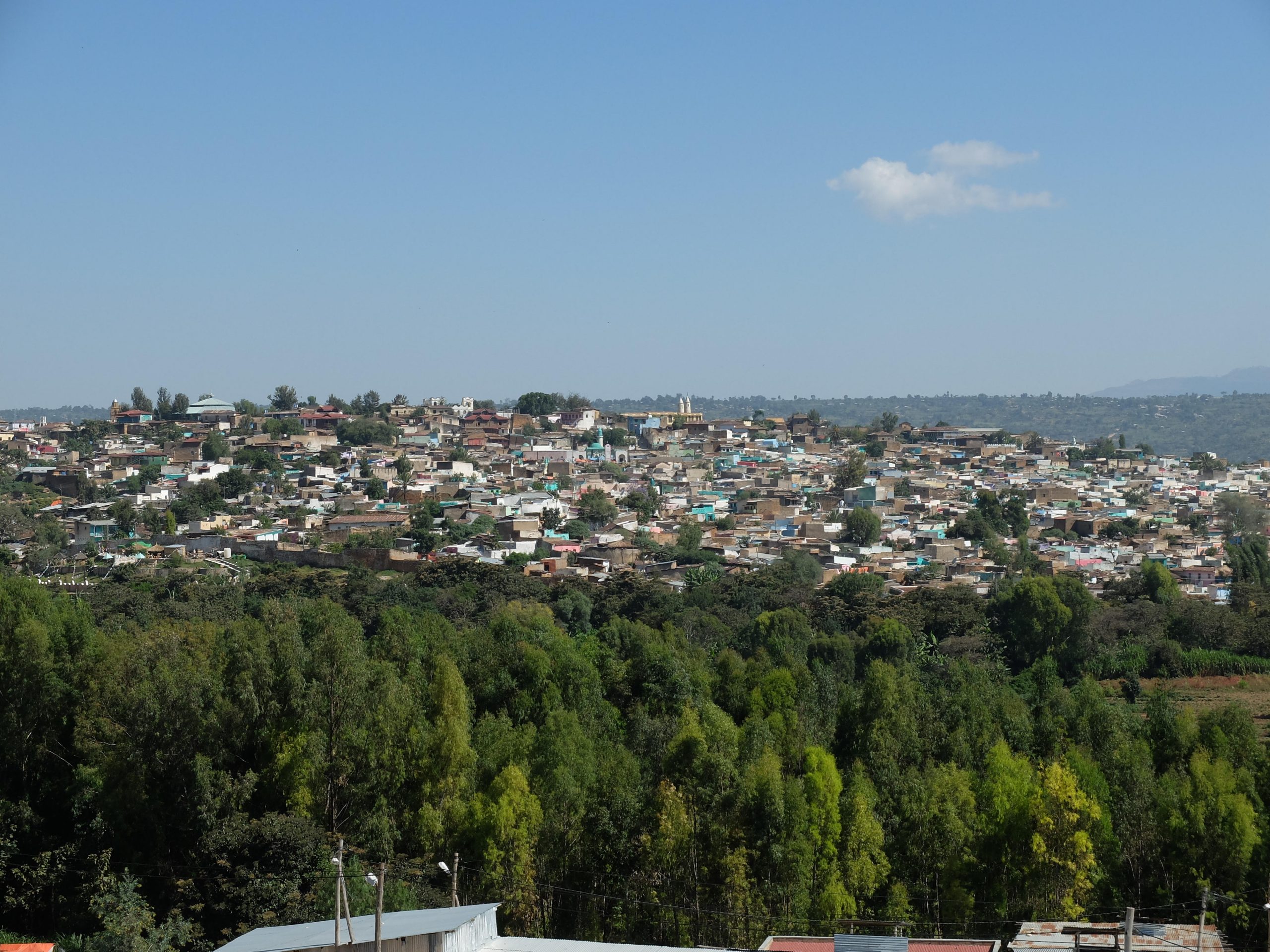 Hyenas, Coffee, And Qat - The City Of Harar In Ethiopia Offers Much To Delight