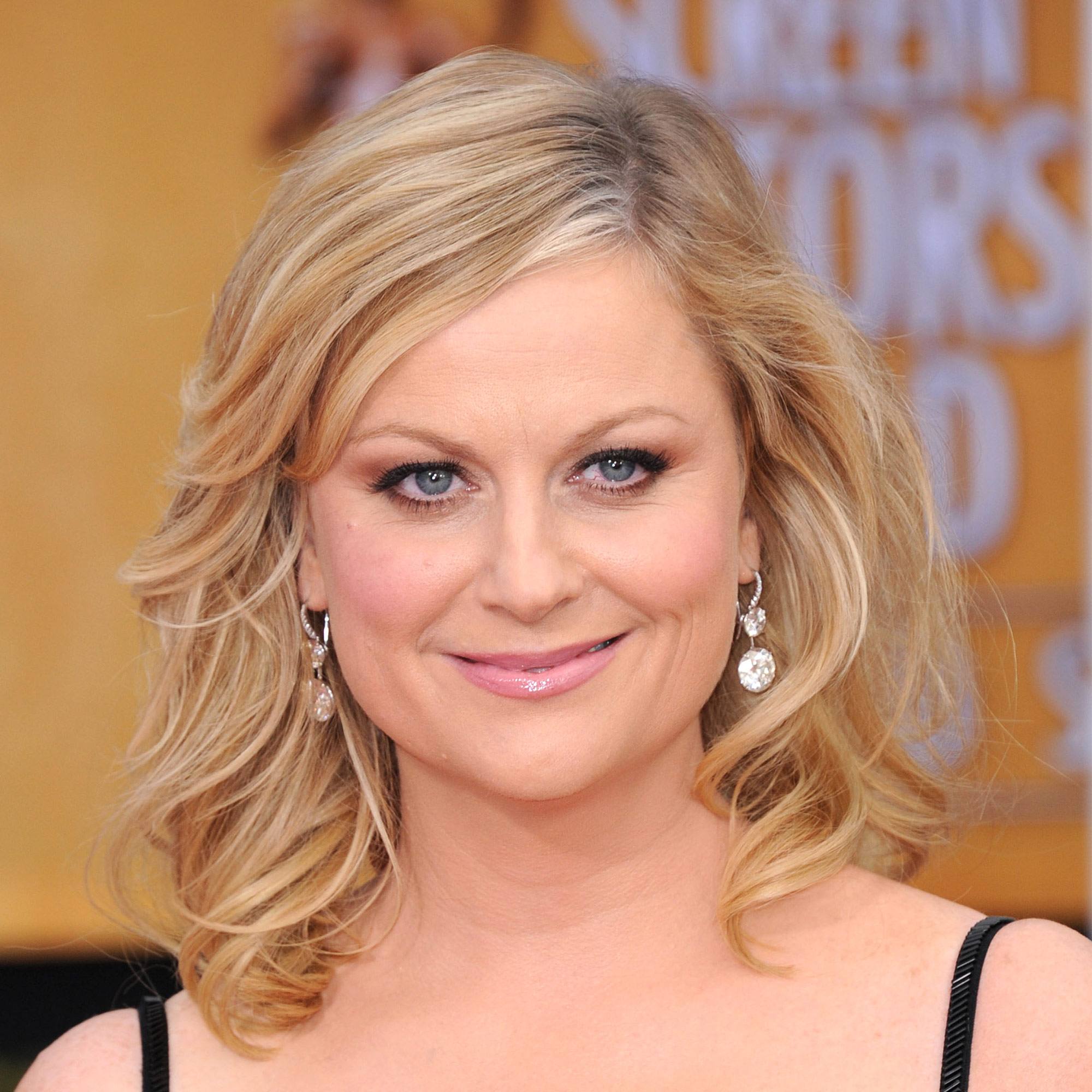 Amy Poehler