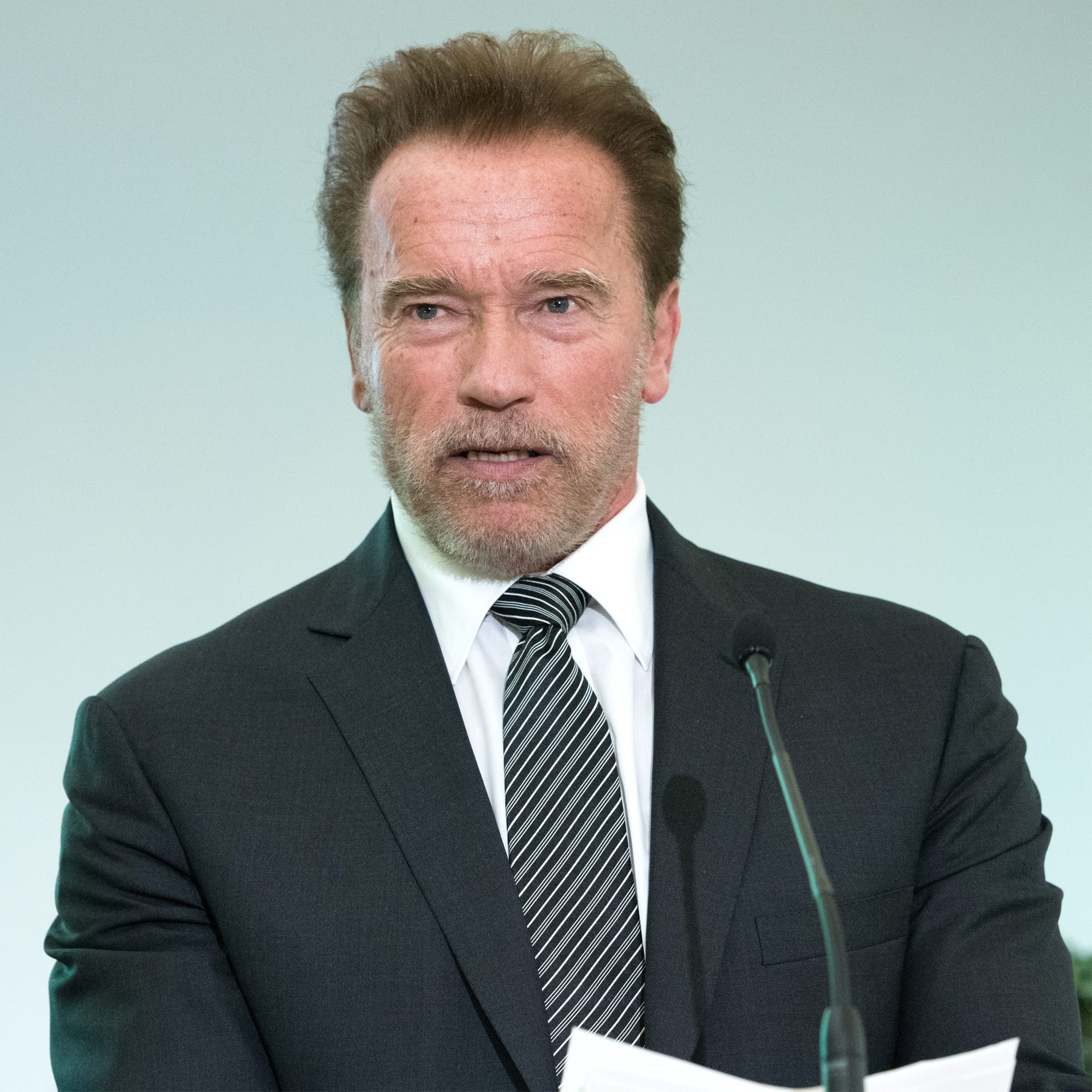 Arnold Schwarzenegger