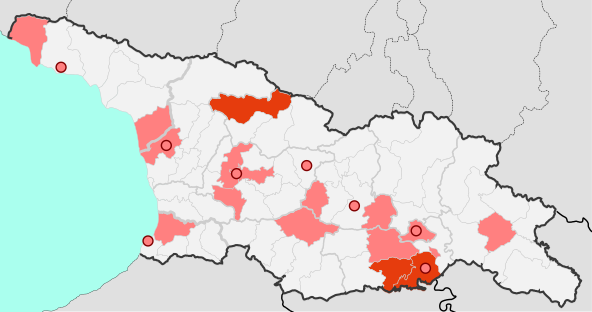 A Deceptive Dream? Georgian Government Hopes Early Coronavirus Success Results In Ballot Box Success