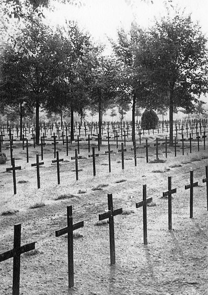 Baltic Nations Positively Giddy About Trump Moving US Troops To Poland