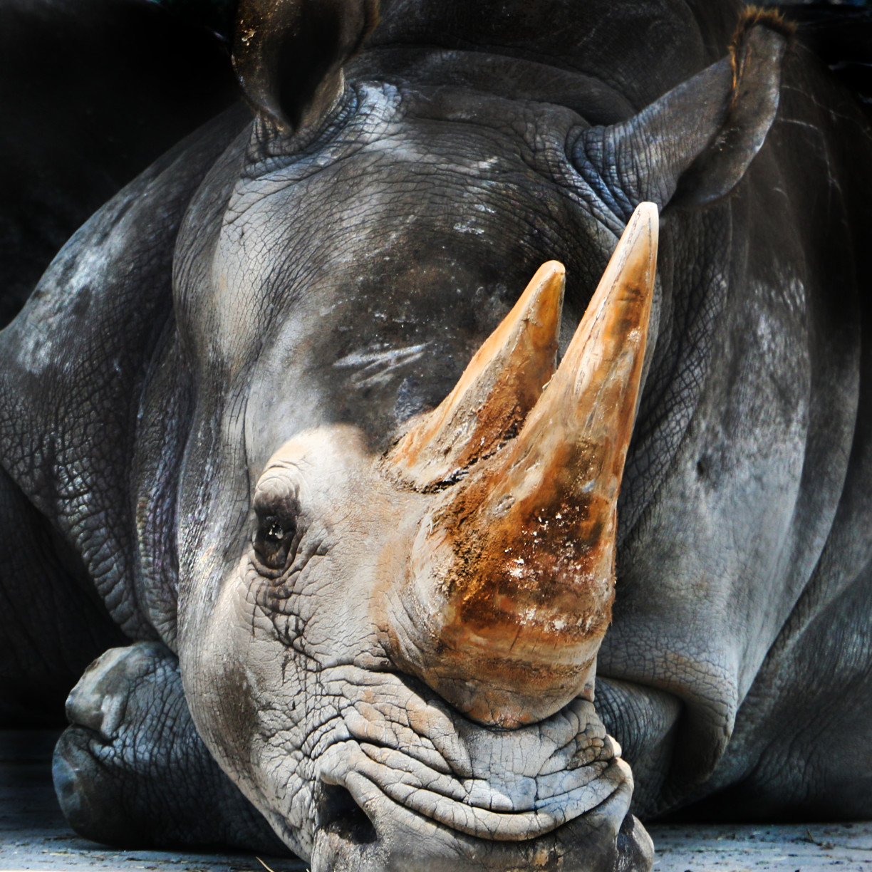 home depot global comes home